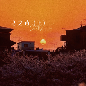 免费特级黄毛片
