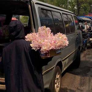 免费特级黄毛片
